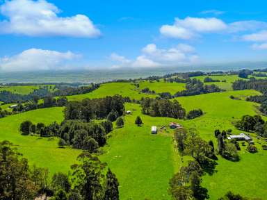 Farm For Sale - VIC - Yarragon - 3823 - 'Pine Lodge' A Mid-Century Fixer with 145 Acres & Amazing Views  (Image 2)