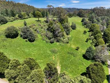 Farm Tender - VIC - Yarragon - 3823 - A Perfect Place to Build to Play and to Enjoy Nature  (Image 2)