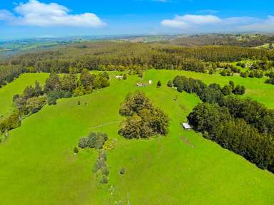 Farm For Sale - VIC - Yarragon - 3823 - 'Pine Lodge' A Mid-Century Fixer with 145 Acres & Amazing Views  (Image 2)