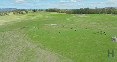 Farm Auction - VIC - Buchan South - 3885 - AUCTION "Suttons"  (Image 2)