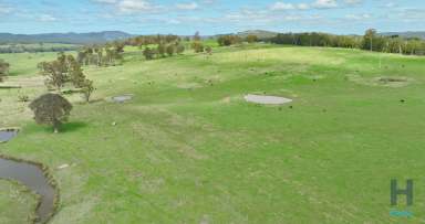 Farm Auction - VIC - Buchan South - 3885 - AUCTION "Suttons"  (Image 2)