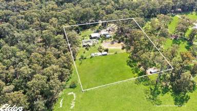 Farm For Sale - VIC - Devon North - 3971 - NATURE LOVERS OASIS  (Image 2)