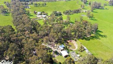 Farm For Sale - VIC - Devon North - 3971 - NATURE LOVERS OASIS  (Image 2)