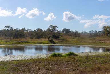 Farm For Sale - QLD - Stanage Bay - 4702 - Hollins Bay                                A Diverse Agricultural / Life Style Investment  (Image 2)