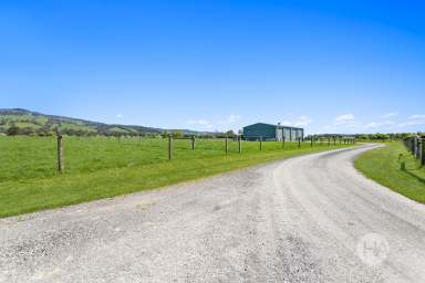 Farm For Sale - VIC - Cloverlea - 3822 - 10 Acre Farm Among Spectacular Countryside  (Image 2)