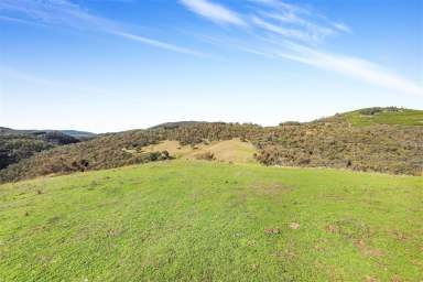 Farm For Sale - NSW - Tumut - 2720 - Sandy Creek Argalong  (Image 2)