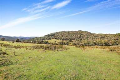 Farm For Sale - NSW - Tumut - 2720 - Sandy Creek Argalong  (Image 2)