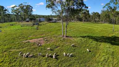 Farm For Sale - QLD - Kullogum - 4660 - Enveloped In An Intoxicating Aura Of Rural Seclusion  (Image 2)