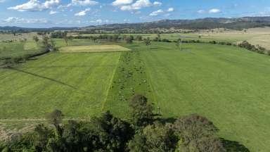 Farm For Sale - QLD - Tamrookum - 4285 - Premium dairy/mixed farming holding in the Scenic Rim  (Image 2)