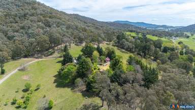 Farm For Sale - VIC - Myrtleford - 3737 - 12 Acres with Buffalo Views  (Image 2)