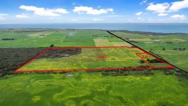 Farm For Sale - VIC - Nirranda South - 3268 - Lifestyle or Outpaddock – Your choice?  (Image 2)