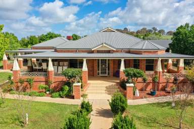 Farm For Sale - NSW - Glenellen - 2642 - Gracious Country Home on Productive Acreage  (Image 2)