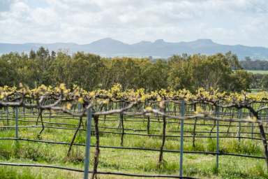 Farm For Sale - NSW - Glenellen - 2642 - Gracious Country Home on Productive Acreage  (Image 2)