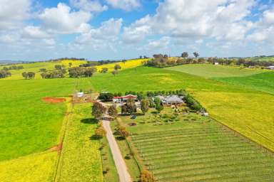 Farm For Sale - NSW - Glenellen - 2642 - Gracious Country Home on Productive Acreage  (Image 2)