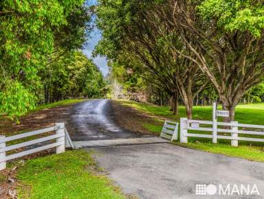 Farm For Sale - NSW - Mooball - 2483 - "Benwerrin" A True Sanctuary!      Expressions of Interest Close 27/11/24  (Image 2)