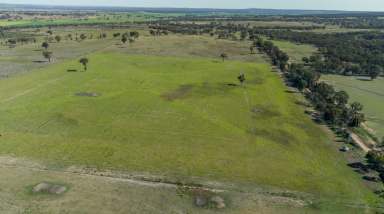 Farm For Sale - NSW - Coolah - 2843 - Mixed farming country with development potential  (Image 2)