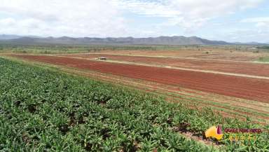 Farm For Sale - QLD - Lakeland - 4871 - Leading Vertically Integrated Horticulture Platform and Enterprise  (Image 2)