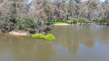 Farm Auction - VIC - Seymour - 3660 - 58 ha with Absolute River Frontage  (Image 2)