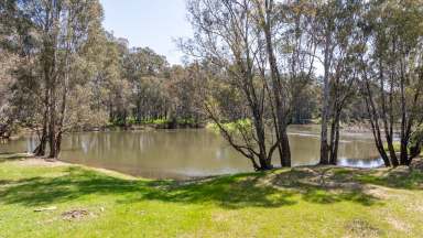 Farm Auction - VIC - Seymour - 3660 - 58 ha with Absolute River Frontage  (Image 2)