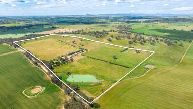 Farm Auction - NSW - Moorwatha - 2640 - "Glenview Park"  (Image 2)