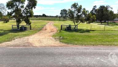 Farm For Sale - NSW - Boggabri - 2382 - VERSATILE ACREAGE ON 4 TITLES WITH DWELLING AND EXCELLENT SHED  (Image 2)