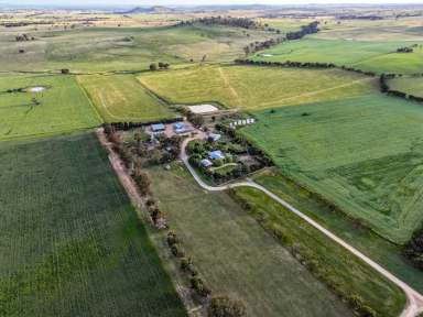 Farm For Sale - NSW - Cootamundra - 2590 - One Of Cootamundra's Finest Properties  (Image 2)