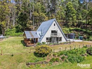 Farm For Sale - TAS - Sunnyside - 7305 - Private Bushland Sancturay on 5 Acres approx  (Image 2)