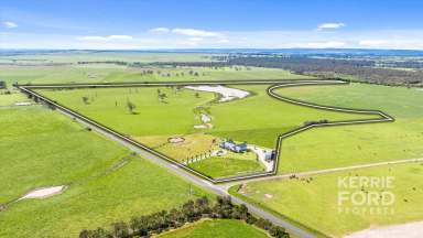 Farm For Sale - VIC - Glengarry - 3854 - "Glen Cairn" - A Stunning Home on 100 Acres  (Image 2)