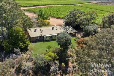 Farm For Sale - SA - Overland Corner - 5330 - The Ultimate Countryside Estate  (Image 2)