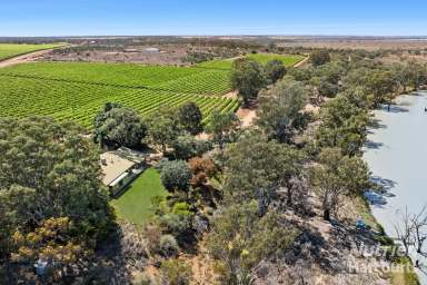 Farm For Sale - SA - Overland Corner - 5330 - The Ultimate Countryside Estate  (Image 2)