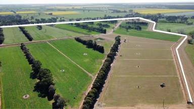 Farm For Sale - VIC - Rochester - 3561 - Pull The Trigger!!  - 275 Acres of premium red soil.  (Image 2)