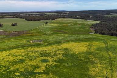 Farm For Sale - WA - Mount Barker - 6324 - RUSTY GATE FARM - 1090 ACRES  (Image 2)