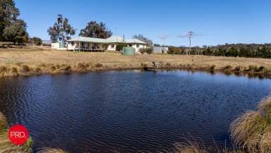 Farm Sold - NSW - Bywong - 2621 - Perfect Small Holding  (Image 2)