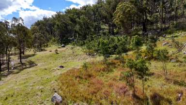 Farm For Sale - NSW - Tenterfield - 2372 - Rural Escape  (Image 2)