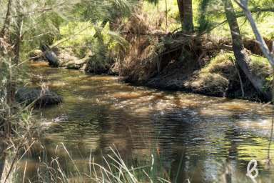 Farm Auction - NSW - Singleton - 2330 - 500 ACRES PRIME GRAZING LAND | STUNNING CREEK FRONTAGE  (Image 2)