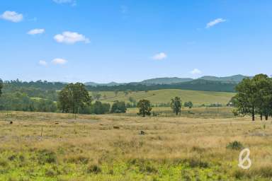 Farm For Sale - NSW - Singleton - 2330 - 500 ACRES PRIME GRAZING LAND | STUNNING CREEK FRONTAGE  (Image 2)