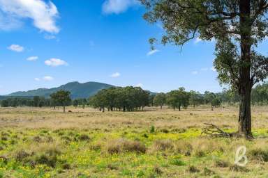 Farm Auction - NSW - Singleton - 2330 - 500 ACRES PRIME GRAZING LAND | STUNNING CREEK FRONTAGE  (Image 2)