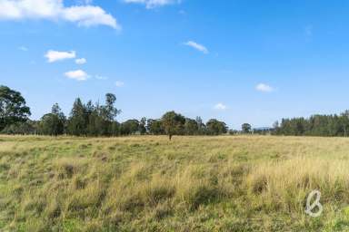 Farm Auction - NSW - Singleton - 2330 - HIGHLY DESIRABLE 100 ACRE GRAZING BLOCK WITH STUNNING CREEK FRONTAGE  (Image 2)