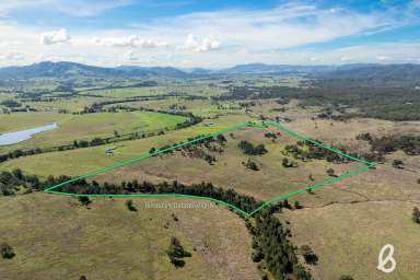 Farm Auction - NSW - Singleton - 2330 - HIGHLY DESIRABLE 100 ACRE GRAZING BLOCK WITH STUNNING CREEK FRONTAGE  (Image 2)