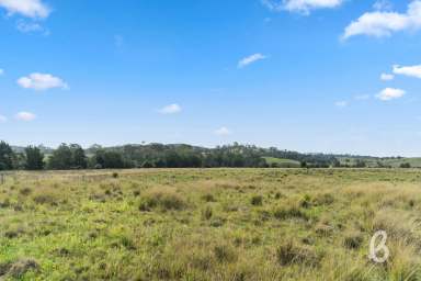 Farm For Sale - NSW - Singleton - 2330 - HIGHLY DESIRABLE 100 ACRE GRAZING BLOCK WITH STUNNING CREEK FRONTAGE  (Image 2)