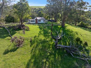 Farm For Sale - VIC - Mount Best - 3960 - River frontage, mountain views, multiple income streams  (Image 2)