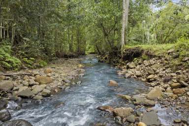 Farm For Sale - NSW - Numinbah - 2484 - "Wonderland" - The Property of Your Dreams  (Image 2)