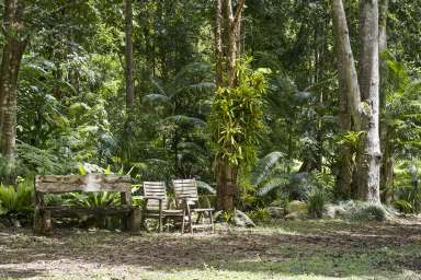 Farm For Sale - NSW - Numinbah - 2484 - "Wonderland" - The Property of Your Dreams  (Image 2)