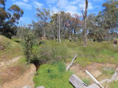 Farm For Sale - WA - Kulikup - 6244 - Productive Farm or Lifestyle Opportunity 182.25 HA (450.34 Ac)*  (Image 2)