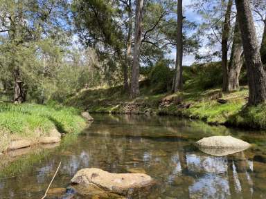 Farm For Sale - NSW - Araluen - 2622 - "Moodong Creek"  (Image 2)