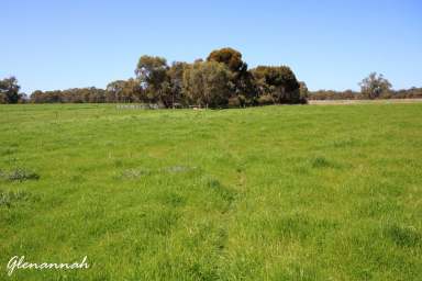 Farm For Sale - SA - Naracoorte - 5271 - Glenannah & Home Run  (Image 2)