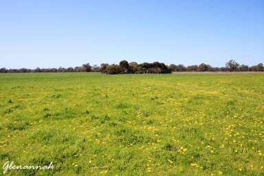 Farm For Sale - SA - Naracoorte - 5271 - Glenannah & Home Run  (Image 2)