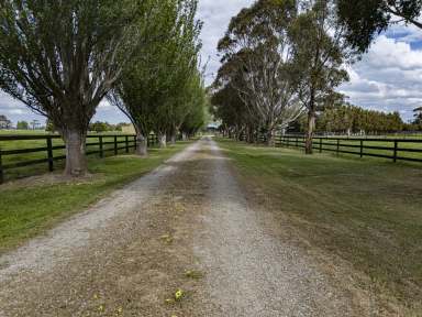 Farm For Sale - VIC - Caldermeade - 3984 - EXCELLENT LOCATION - EQUINE -MARKET GARDEN - LIFESTYLE.  (Image 2)