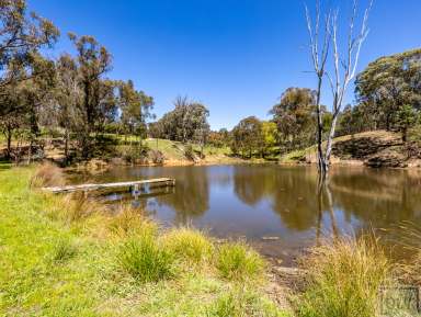 Farm For Sale - VIC - Indigo Valley - 3688 - “Grazing/Recreational Block in the popular picturesque Indigo Valley”  (Image 2)