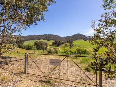 Farm For Sale - VIC - Indigo Valley - 3688 - “Grazing/Recreational Block in the popular picturesque Indigo Valley”  (Image 2)